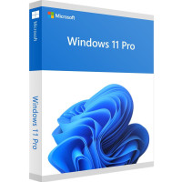 Windows 11 Professional (1 PC)