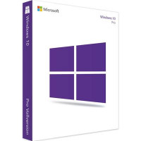 Windows 10 Professional (500 PC)